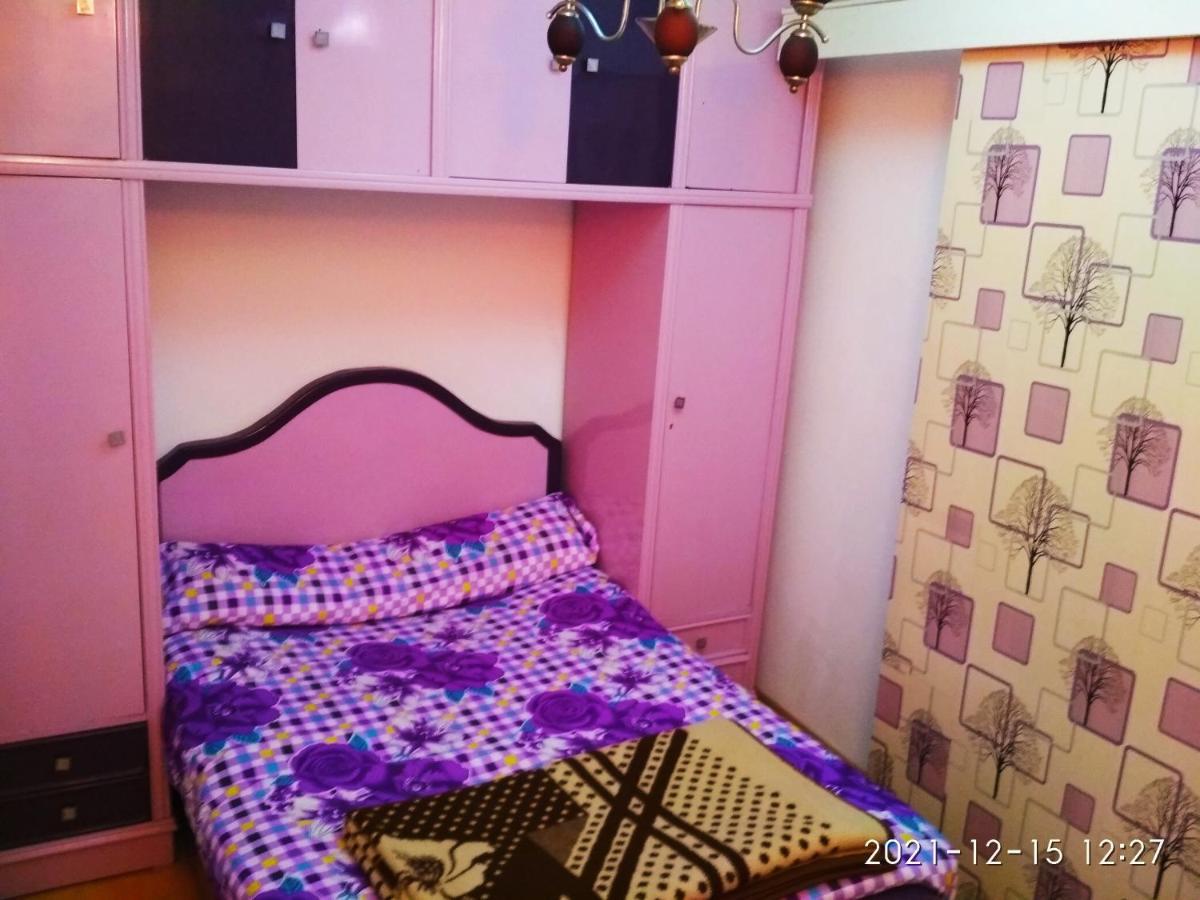 Nice House 亚历山大港 外观 照片